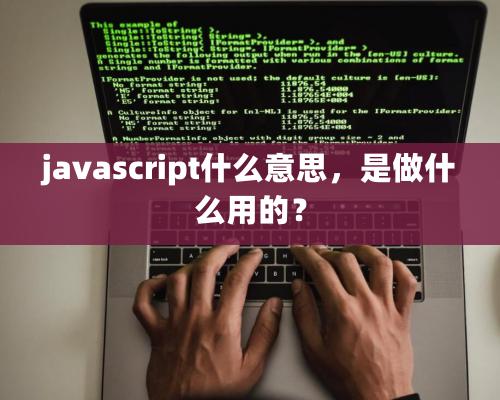 javascript什么意思，是做什么用的？