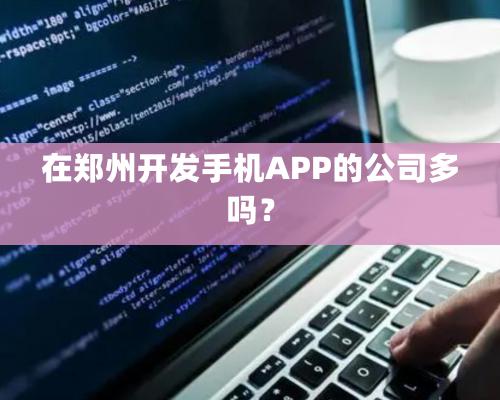 在鄭州開發(fā)手機(jī)APP的公司多嗎？