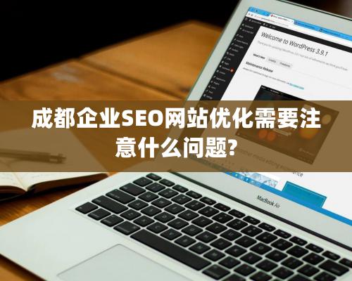 成都企業SEO網站優化需要注意什么問題?